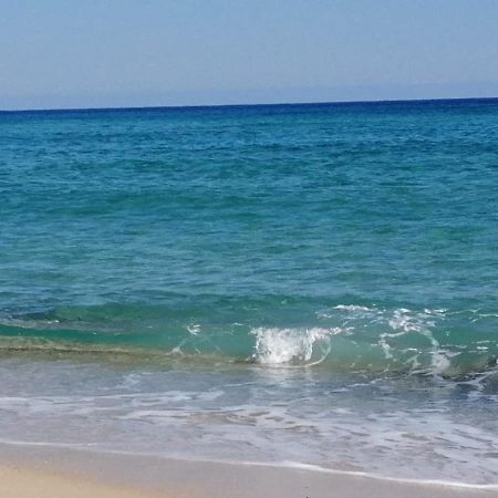 Home Beach Costa Rey 코스타 레이 외부 사진