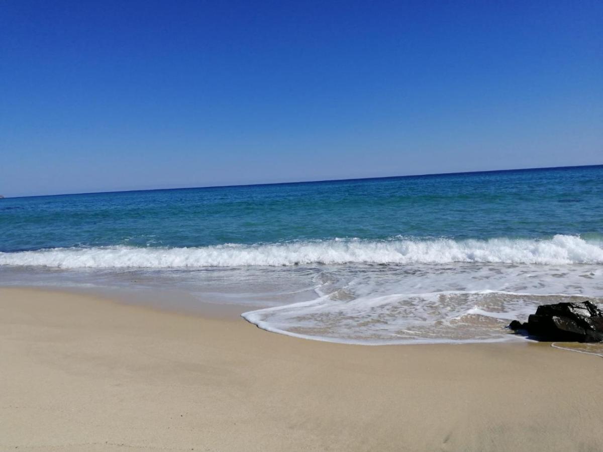 Home Beach Costa Rey 코스타 레이 외부 사진